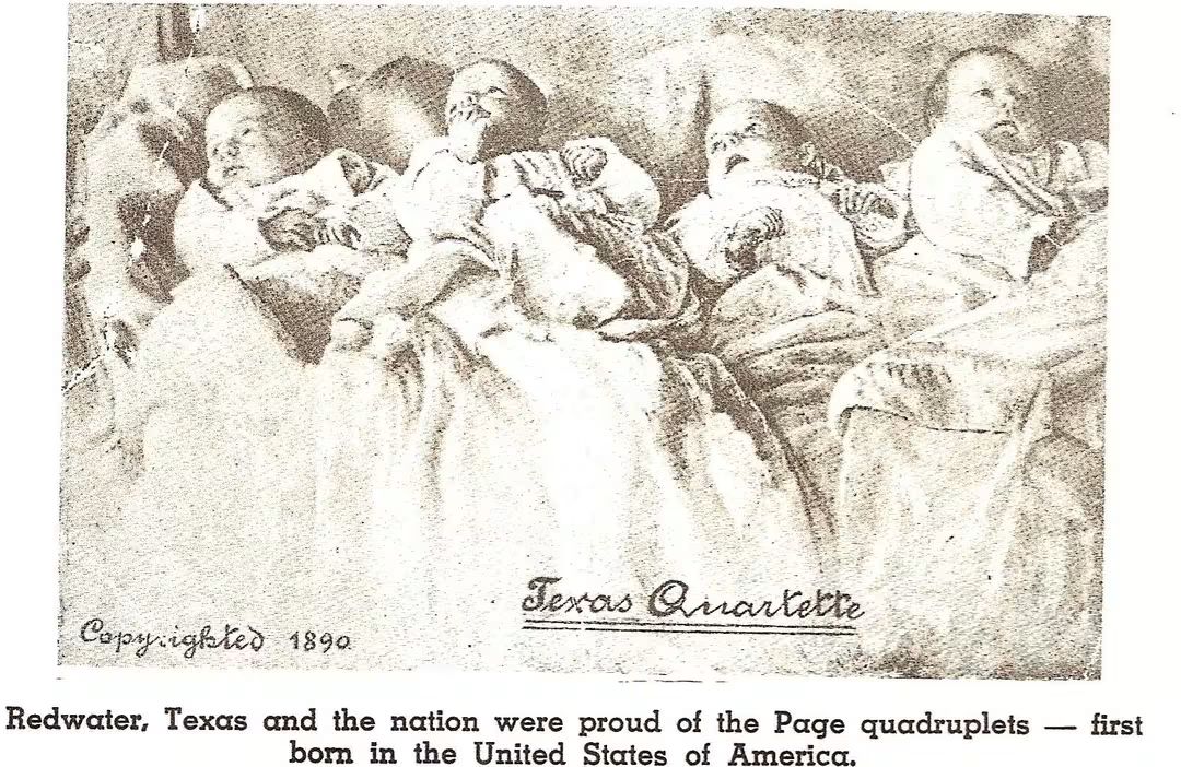 Page quadruplets, first born in the U.S., lying together in blankets in 1890, showcasing a historical moment from Redwater, Texas.